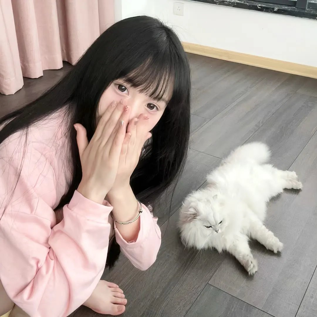 犯罪活动